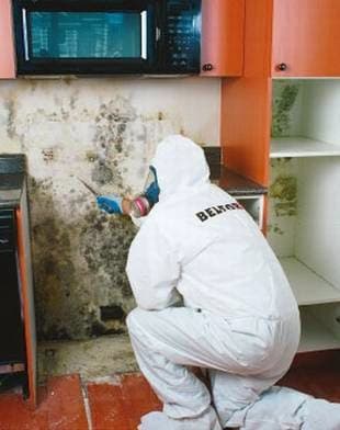 BELFOR Property Restoration (Houston) - Roof Repair in Houston