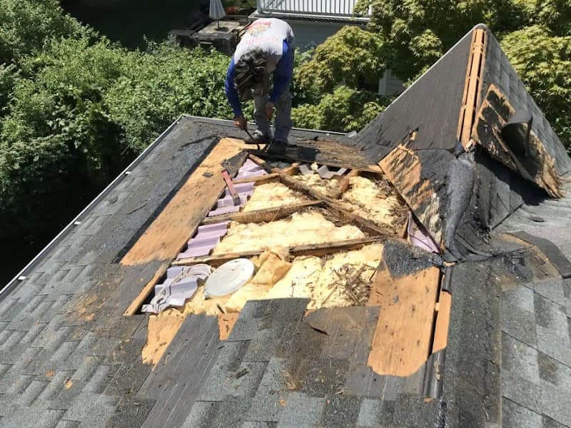 Dennis Roofing & Repair - Roof Repair in Spring