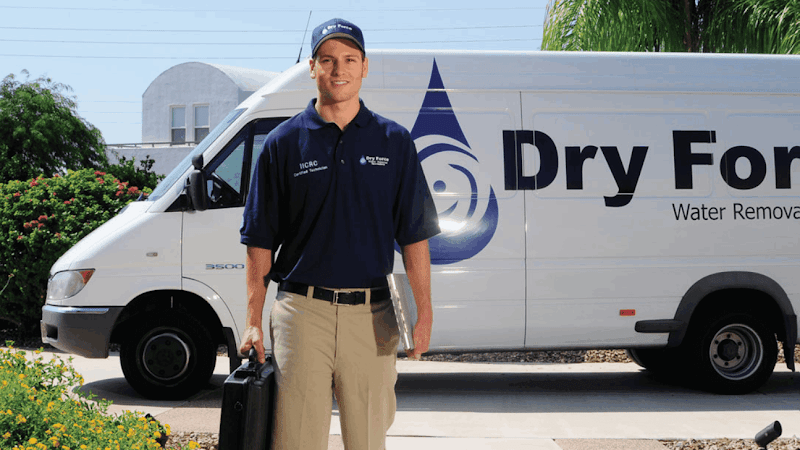 Dry Force Water Removal Specialists - Roof Repair in Houston