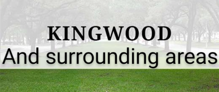 Restore It General Contracting & mitigation services - Roof Repair in New Caney