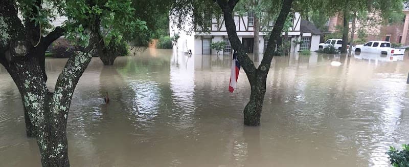 Total Restoration - Roof Repair in Magnolia